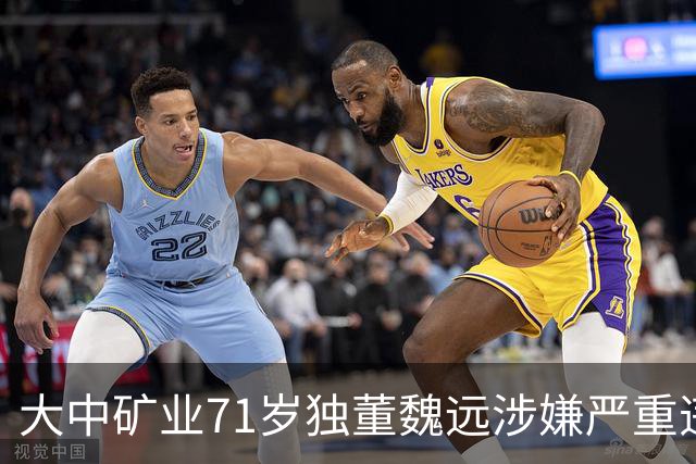 大中矿业71岁独董魏远涉嫌严重违纪违法，接受纪律审查和监察调查
