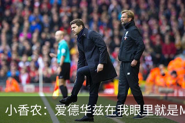 小香农：爱德华兹在我眼里就是MVP，缺阵也能击败任何对手